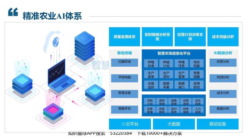 智能化浪潮：上海智能技术开发引领未来